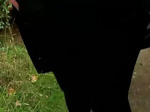 Nicola porno latino  ...
