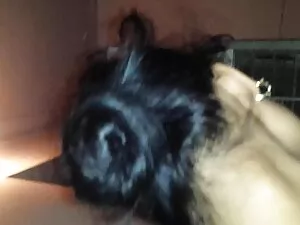 Jenny video porno gr ...