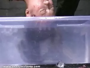 Sybil pornostar amer ...