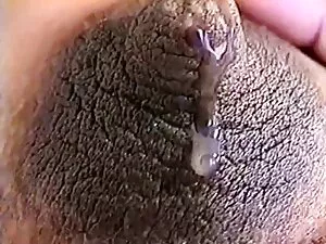Sarah vandella porno ...