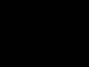 Fatima Kojima ha vid ...