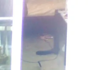 Banca videoporno ame ...